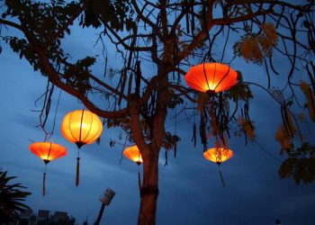 Người ta thường sử dụng lồng đèn để trang trí trên cây 