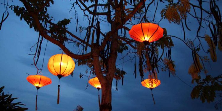 Người ta thường sử dụng lồng đèn để trang trí trên cây 