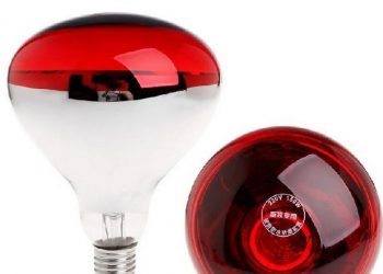 Đèn hồng ngoại có thể cảm nhận sự có mặt của con người