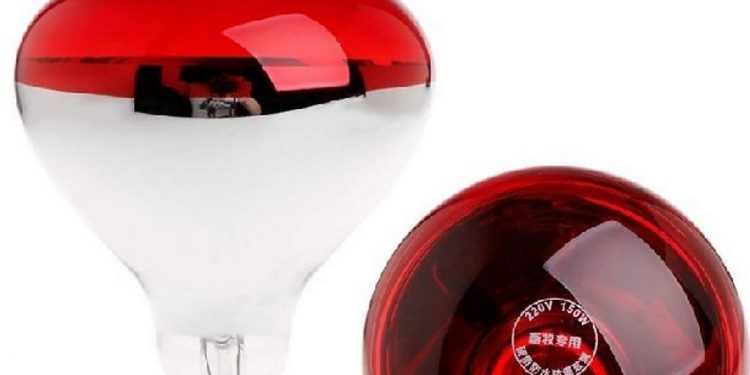 Đèn hồng ngoại có thể cảm nhận sự có mặt của con người