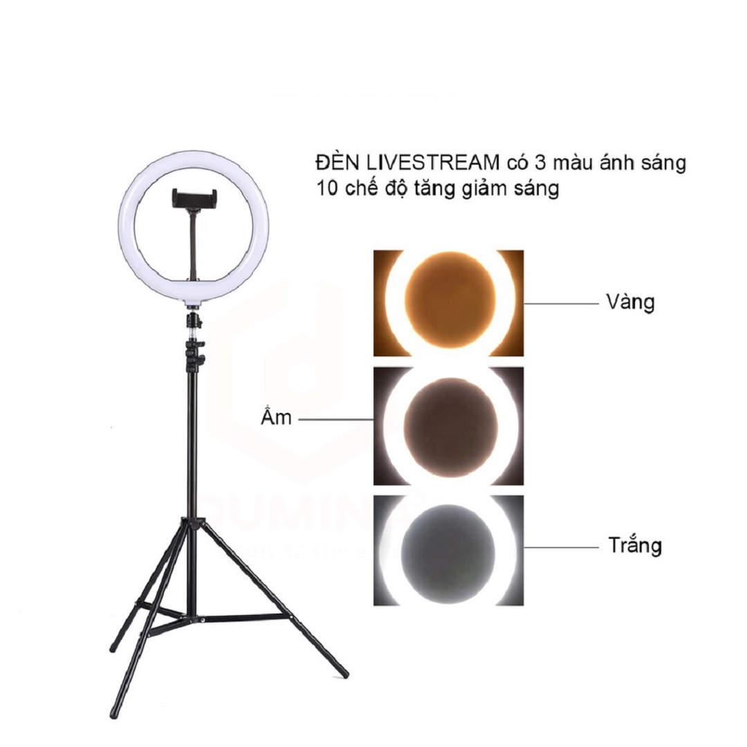 Đèn tròn Livestream size 26 30 36 45 cm